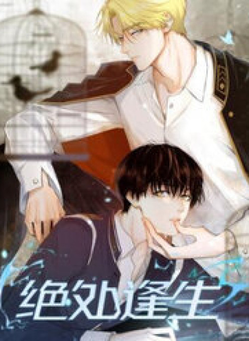 Tuyệt Xử Phùng Sinh