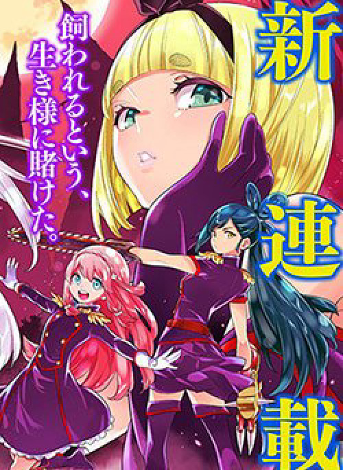 Mato Seihei No Slave