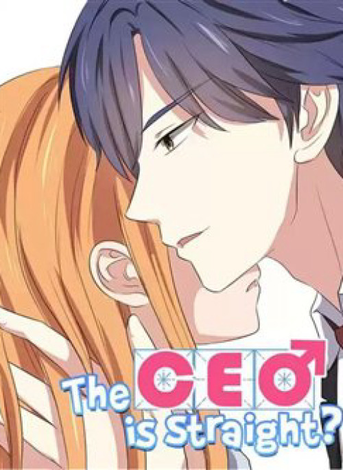 Tổng Tài Là Trai Thẳng